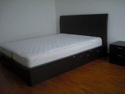 Viz At Holland (D10), Condominium #558859221